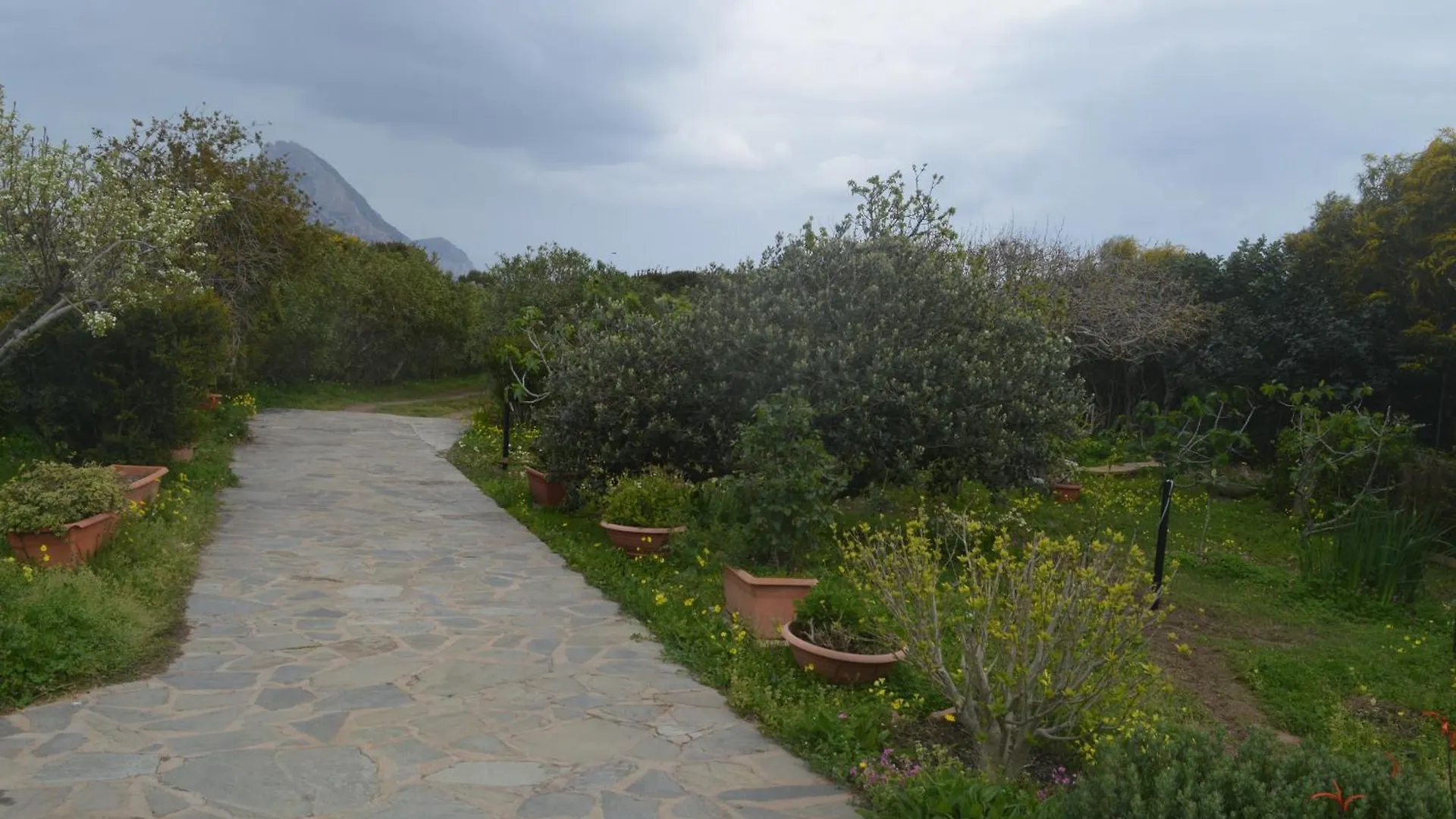 Appartamento Bougainvillea Porto Taverna Apartment