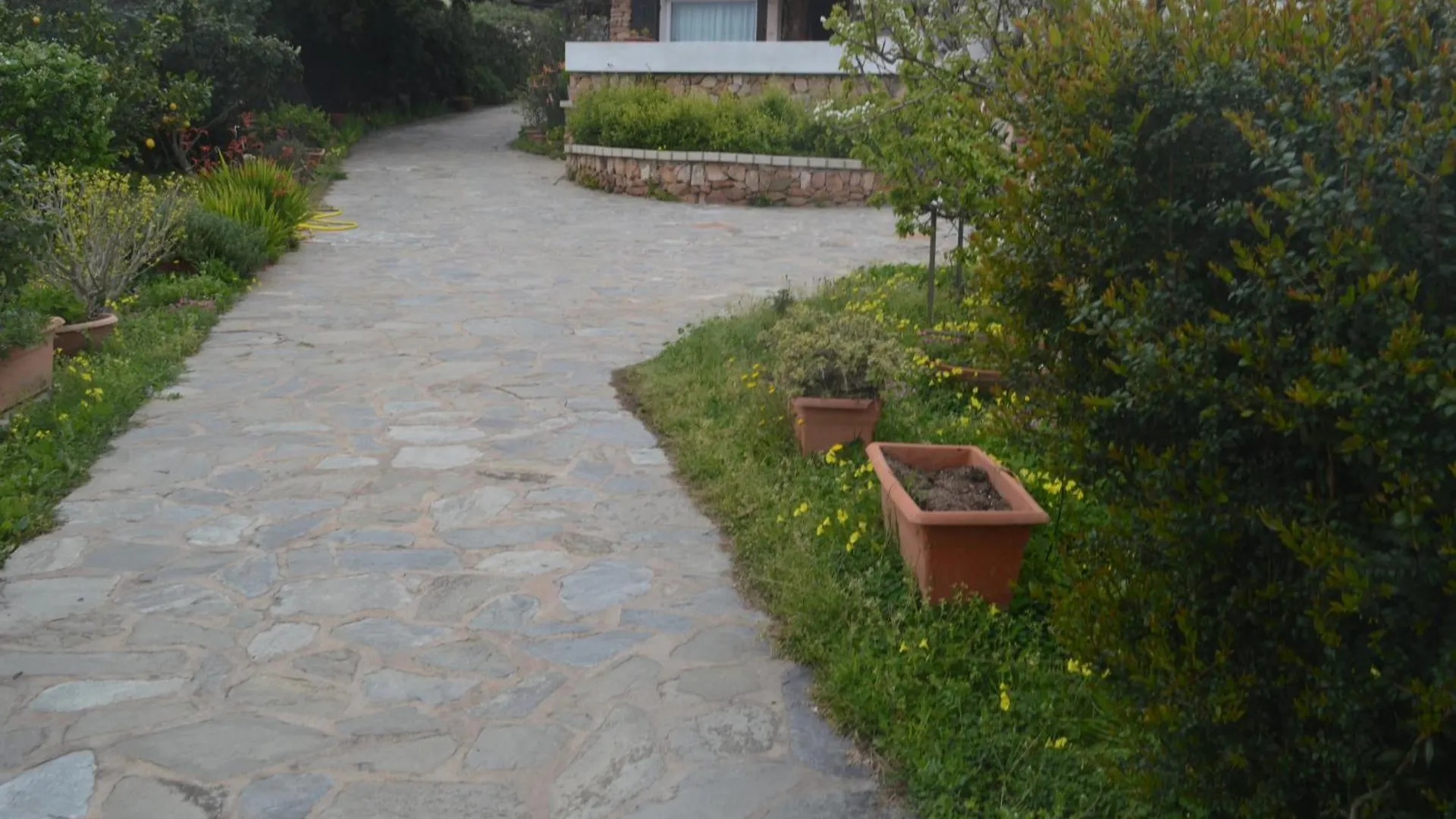 Apartment Appartamento Bougainvillea Porto Taverna Italy